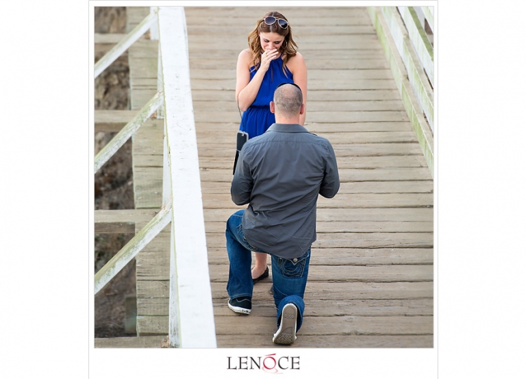 proposal-ideas-san-diego-lenoce105
