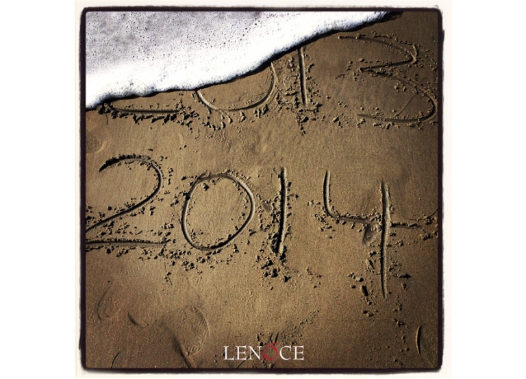 13-2014-beach-wave-san-diego-copyright-lenoce1114