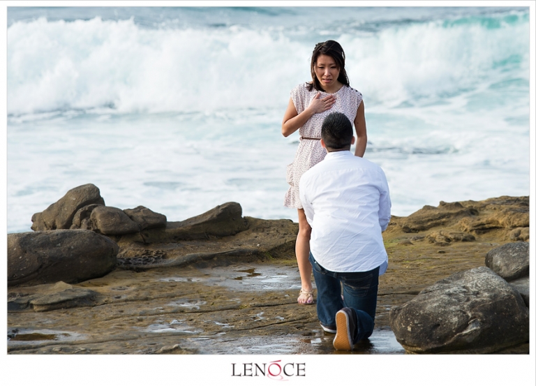 proposal-ideas-san-diego-lenoce3-3