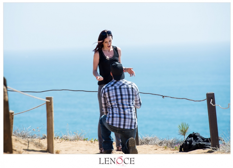 proposal-torrey-pines-lenoce6-14