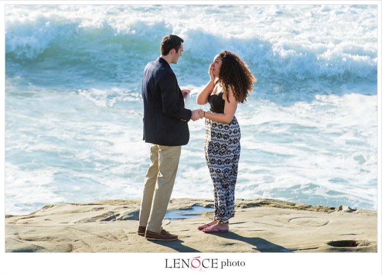 proposal-ideas-san-diego-lenoce1-8