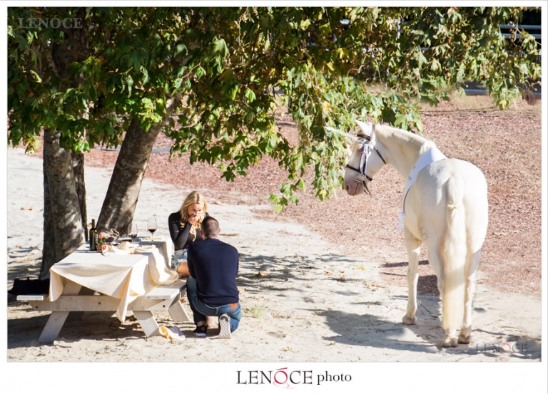 proposal-unicorn-grand-del-mar-lajolla-lenoce10-2