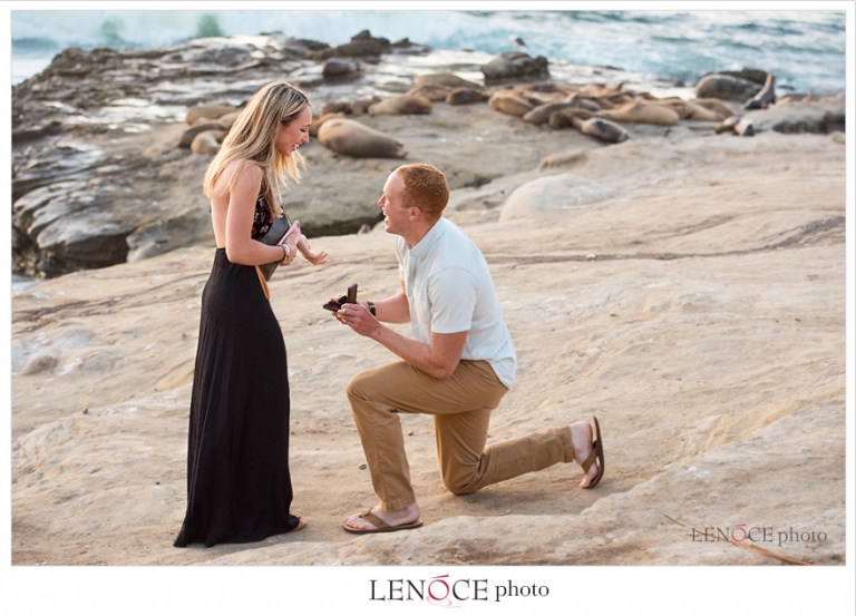 Marriage Proposal Ideas In San Diego Archives San Diego